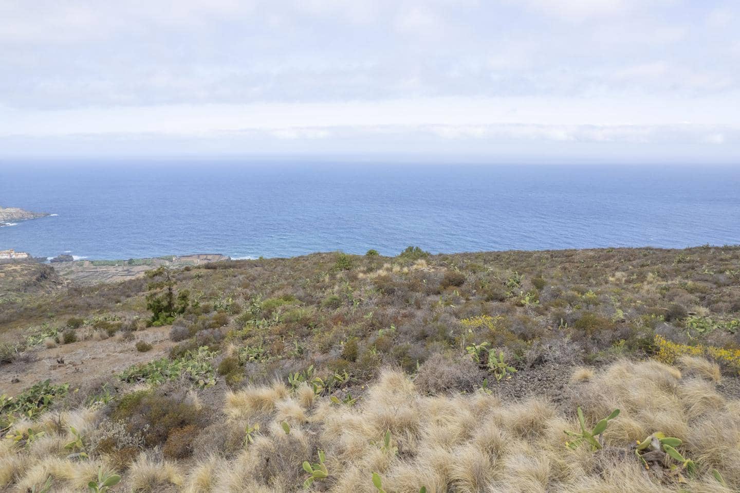 Grunde uden byggetilladelser til salg i San Juan de la Rambla - € 111.000 (Ref: 8486981)