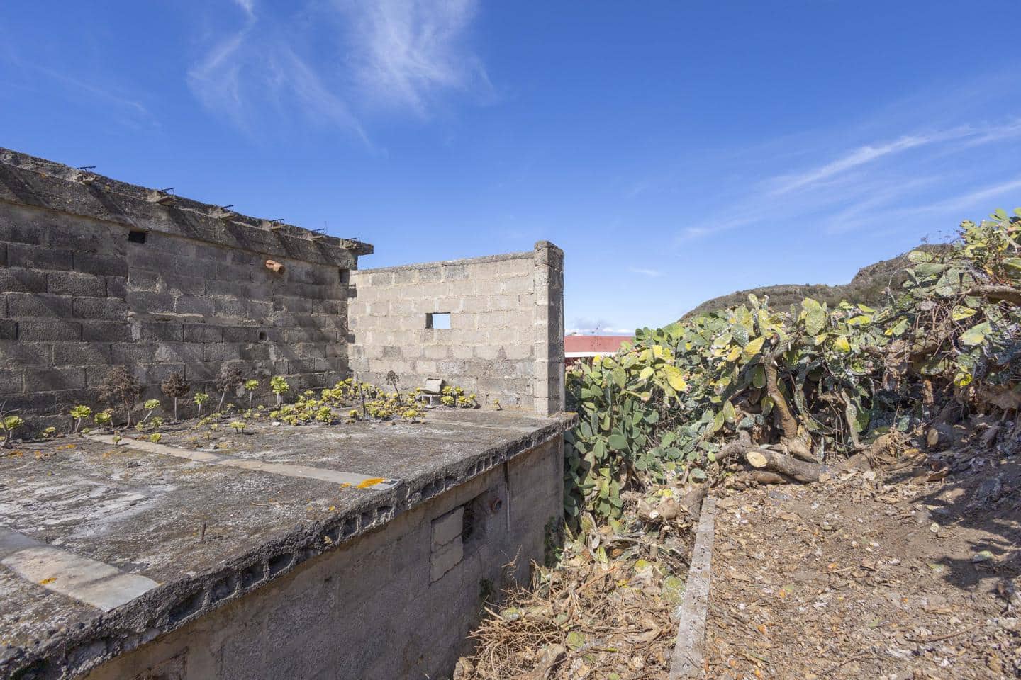 Grunde uden byggetilladelser til salg i Tegueste - € 85.000 (Ref: 8562410)