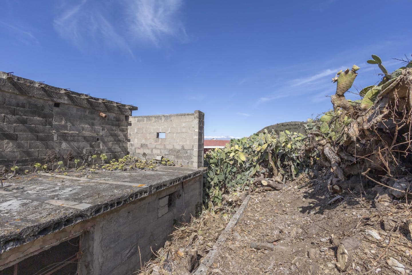 Grunde uden byggetilladelser til salg i Tegueste - € 85.000 (Ref: 8562410)