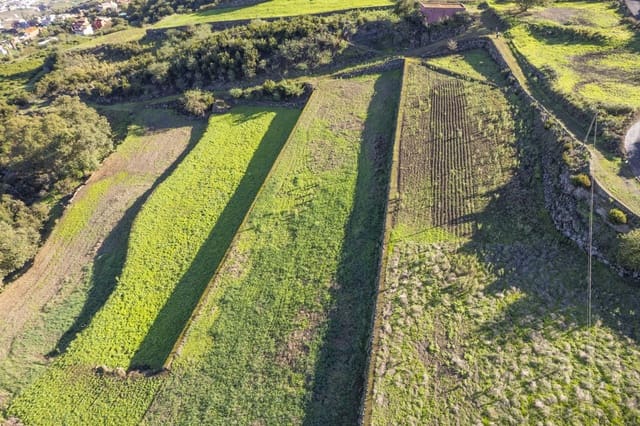 Undeveloped Land for sale in Los Realejos - € 180,000 (Ref: 8620444)