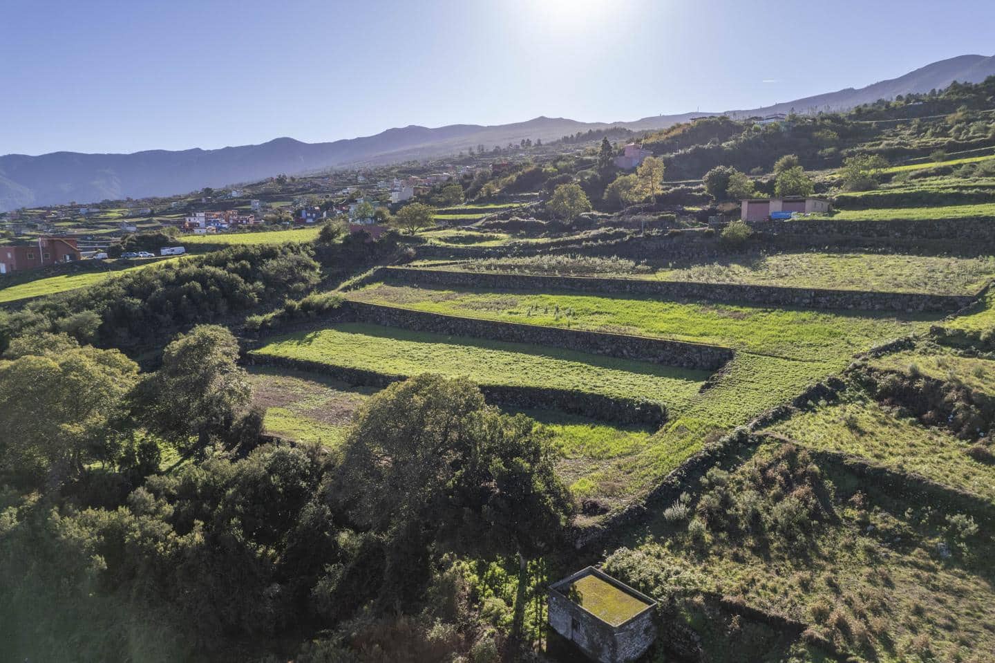 Grunde uden byggetilladelser til salg i Los Realejos - € 180.000 (Ref: 8620444)