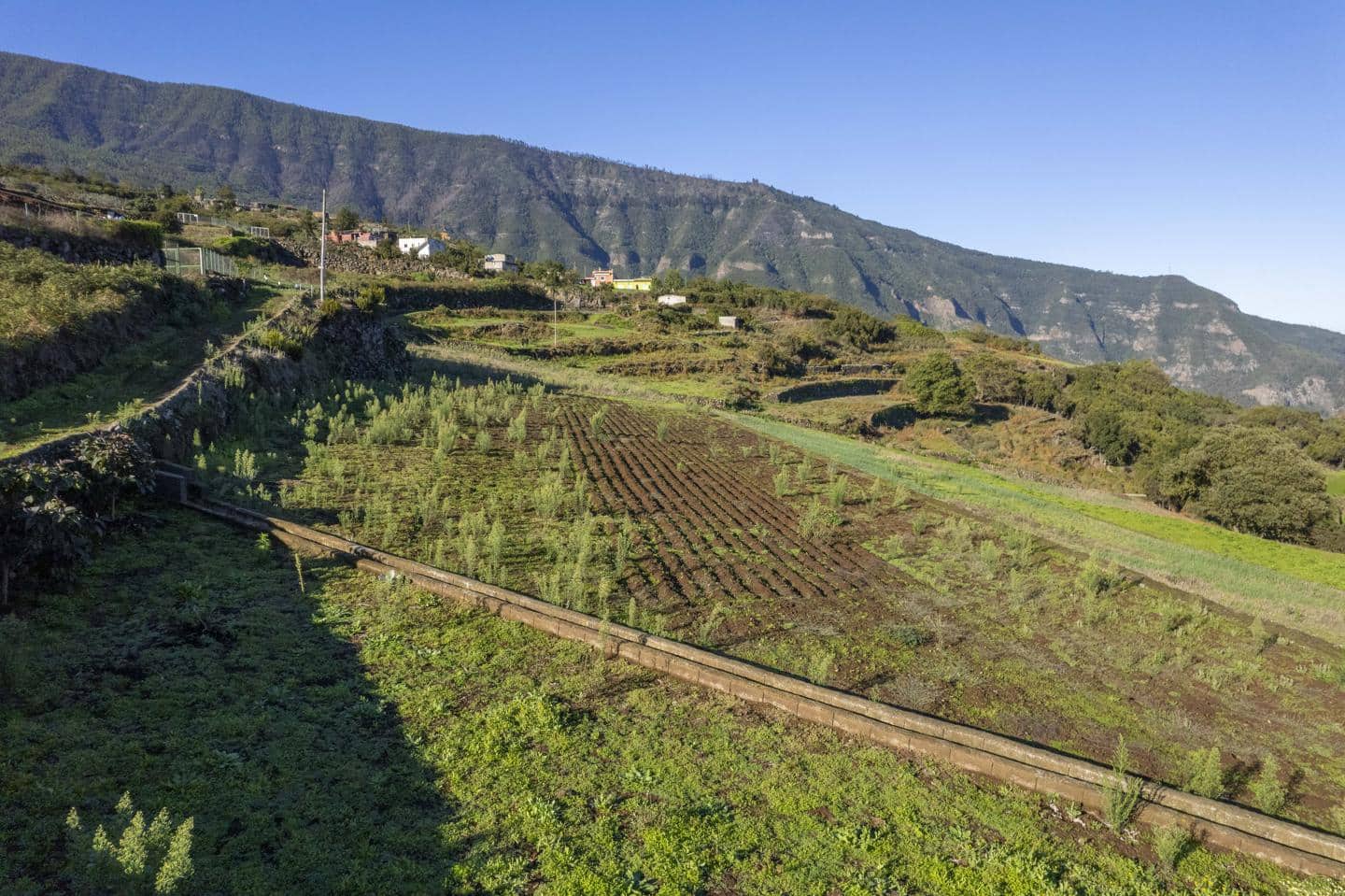 Grunde uden byggetilladelser til salg i Los Realejos - € 180.000 (Ref: 8620444)