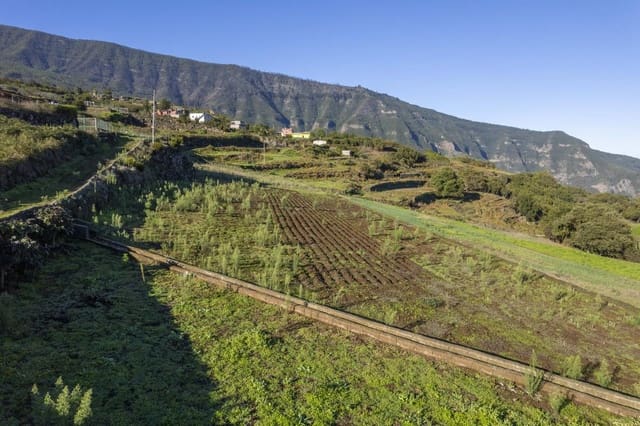 Undeveloped Land for sale in Los Realejos - € 180,000 (Ref: 8620444)