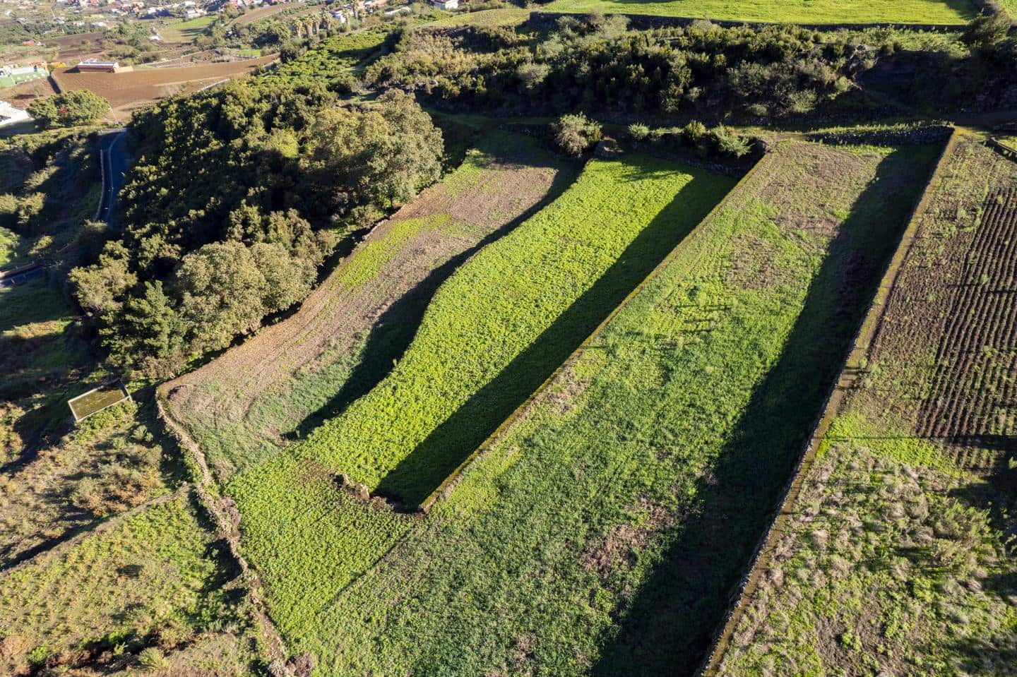 Grunde uden byggetilladelser til salg i Los Realejos - € 180.000 (Ref: 8620444)