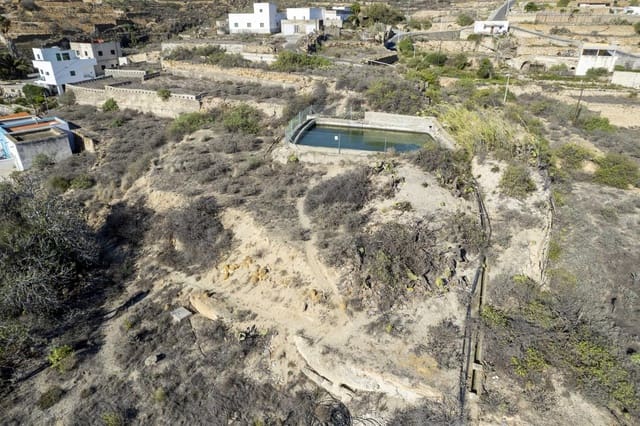 Undeveloped Land for sale in Fasnia - € 60,000 (Ref: 8699258)