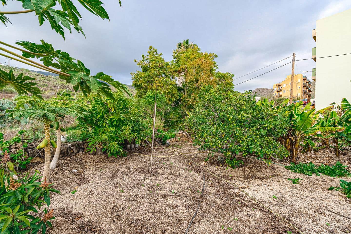 Ubebygd land til salgs i Valle de San Lorenzo - € 700 000 (Ref: 8769069)