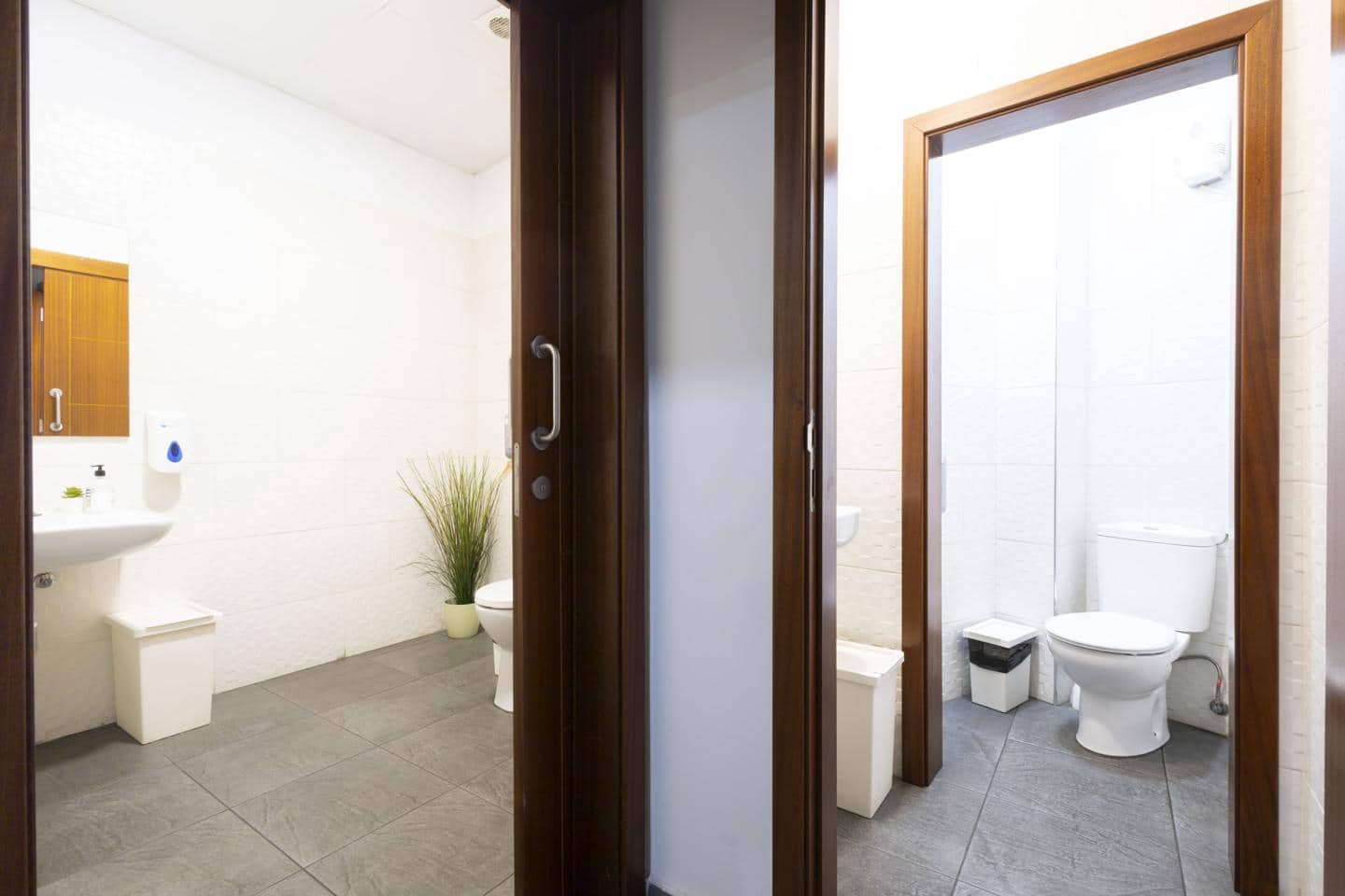 1 Zimmer Firma/Unternehmen zu vermieten in San Cristobal de La Laguna - 1.100 € (Ref: 8788790)