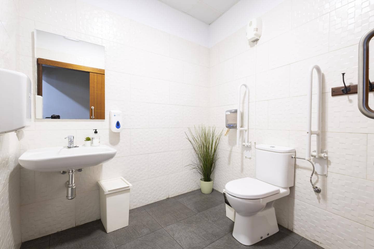 1 Zimmer Firma/Unternehmen zu vermieten in San Cristobal de La Laguna - 1.100 € (Ref: 8788790)