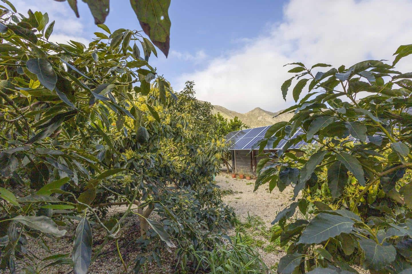 1 camera da letto Villa in vendita in Buenavista del Norte - 250.000 € (Rif: 8800072)