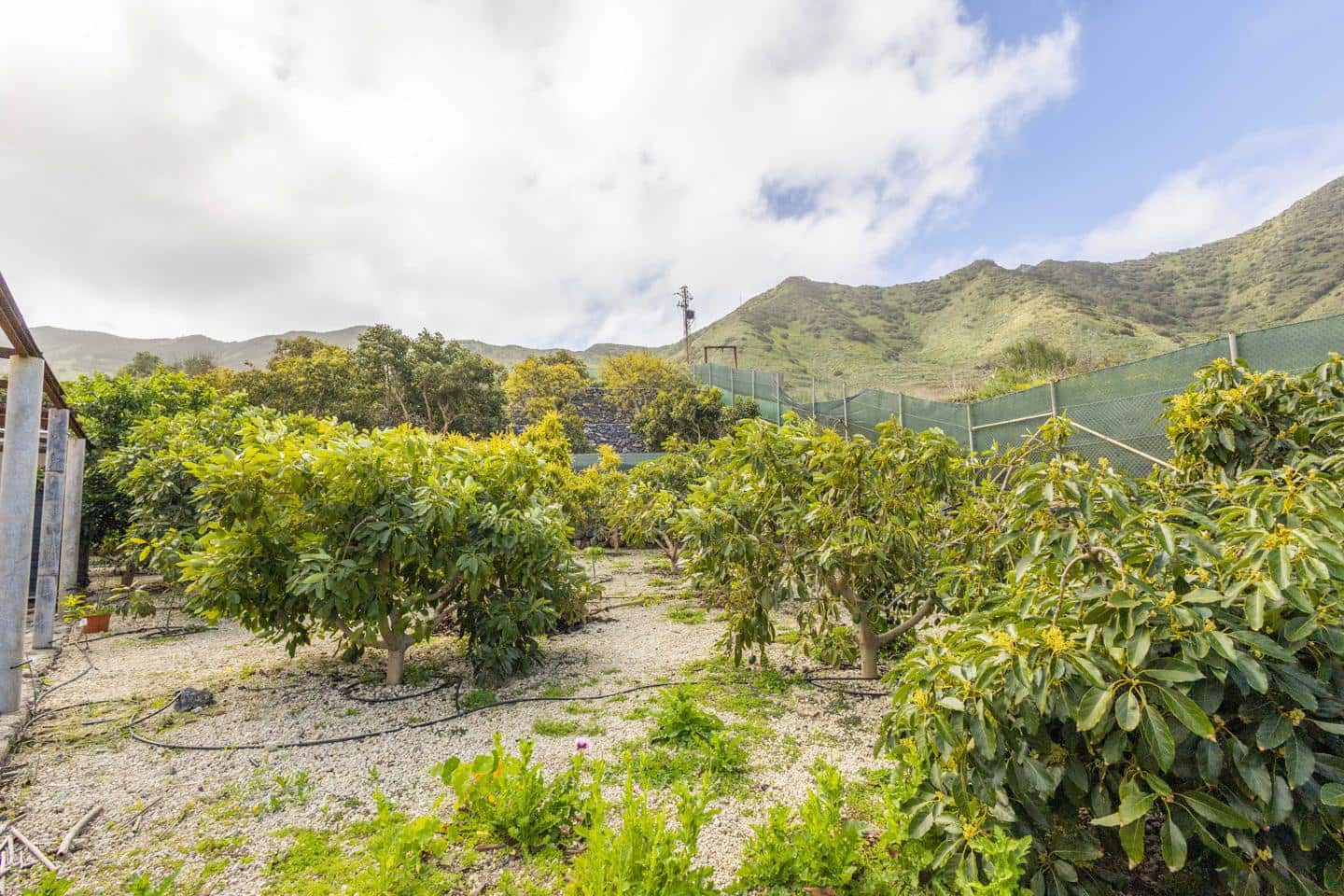 1 camera da letto Villa in vendita in Buenavista del Norte - 250.000 € (Rif: 8800072)