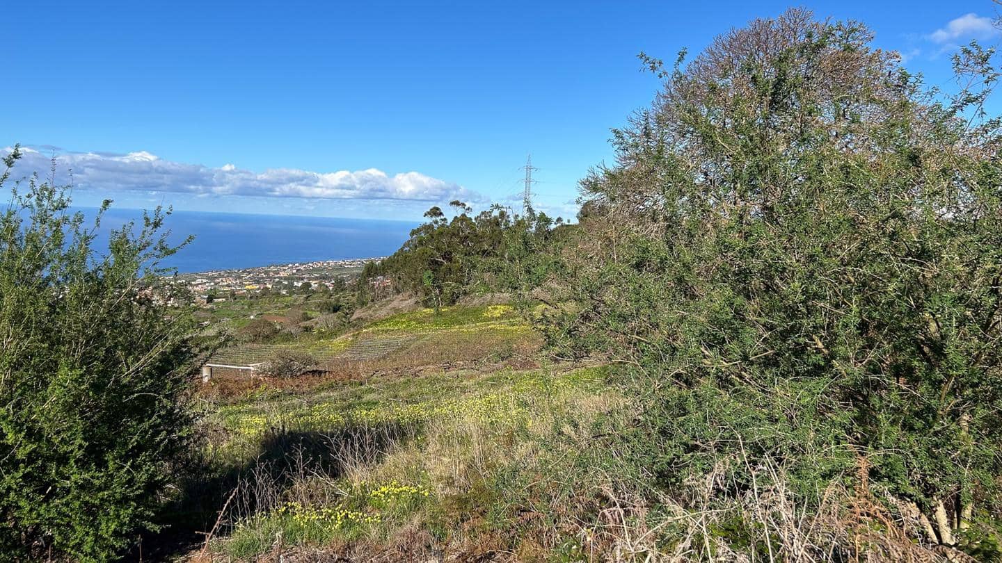 Grunde uden byggetilladelser til salg i El Sauzal - € 250.000 (Ref: 8800486)