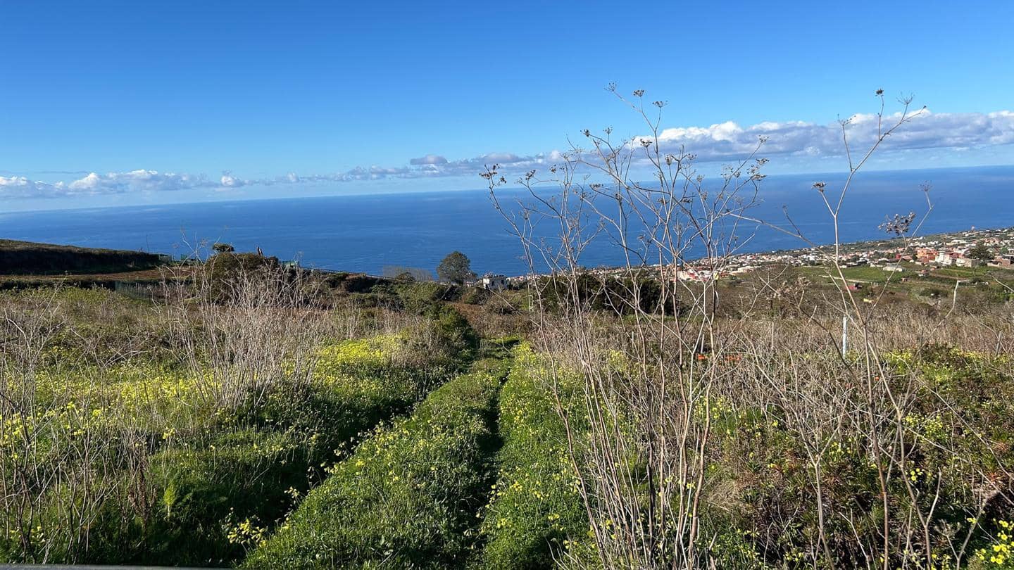 Grunde uden byggetilladelser til salg i El Sauzal - € 250.000 (Ref: 8800486)