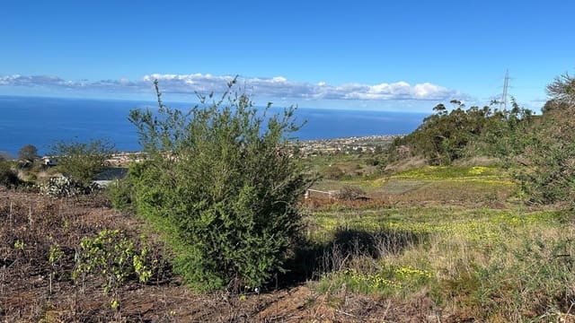 Undeveloped Land for sale in El Sauzal - € 250,000 (Ref: 8800486)