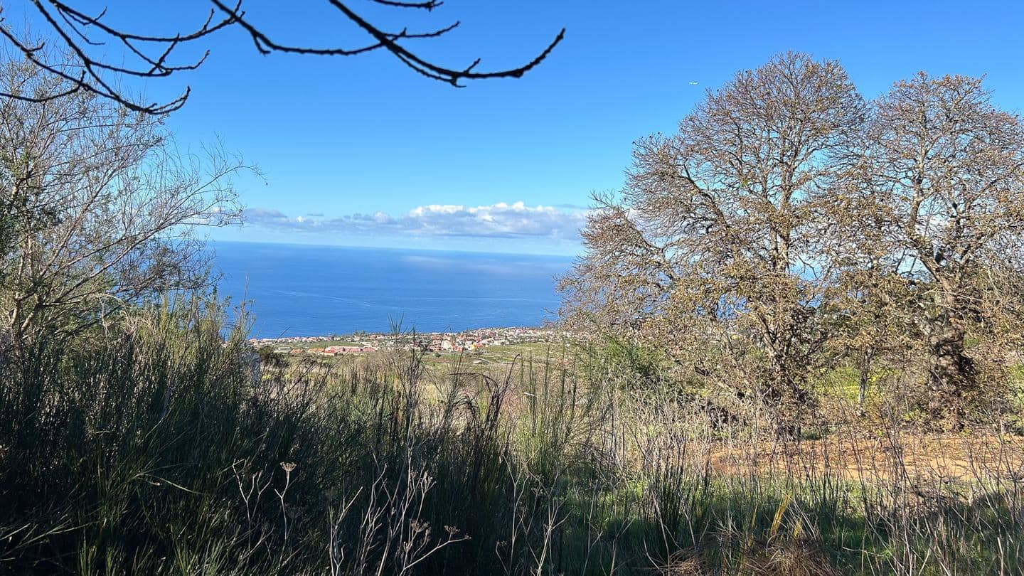 Grunde uden byggetilladelser til salg i El Sauzal - € 250.000 (Ref: 8800486)