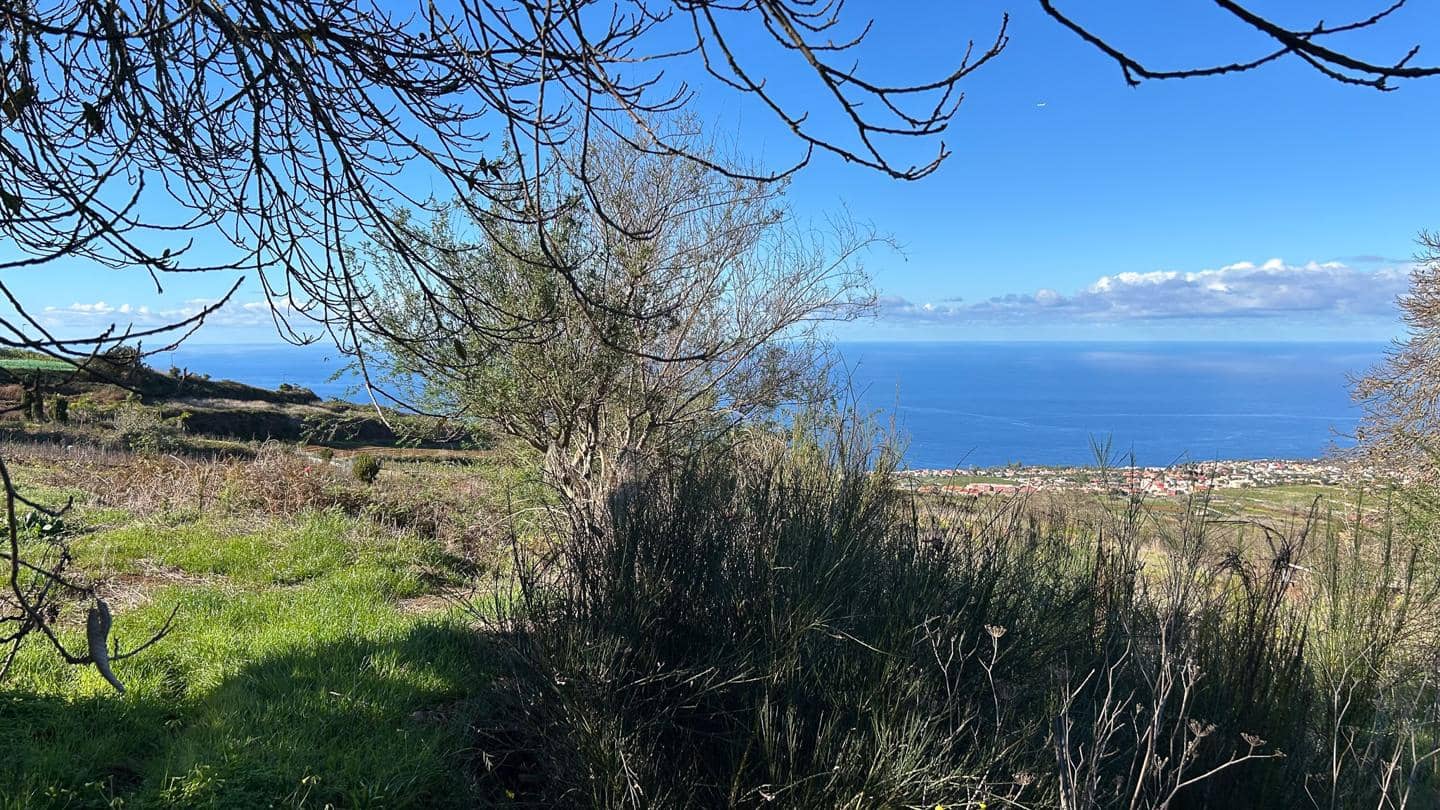 Grunde uden byggetilladelser til salg i El Sauzal - € 250.000 (Ref: 8800486)