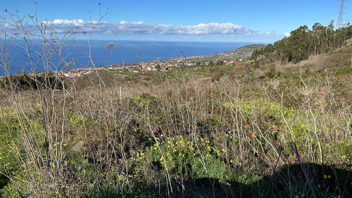 Grunde uden byggetilladelser til salg i El Sauzal - € 250.000 (Ref: 8800486)