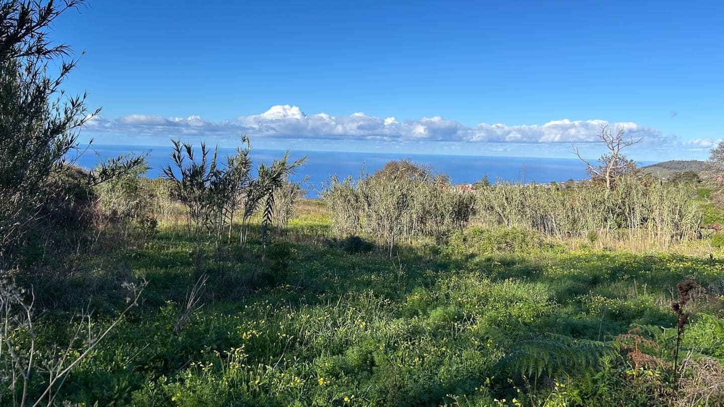 Grunde uden byggetilladelser til salg i El Sauzal - € 250.000 (Ref: 8800486)