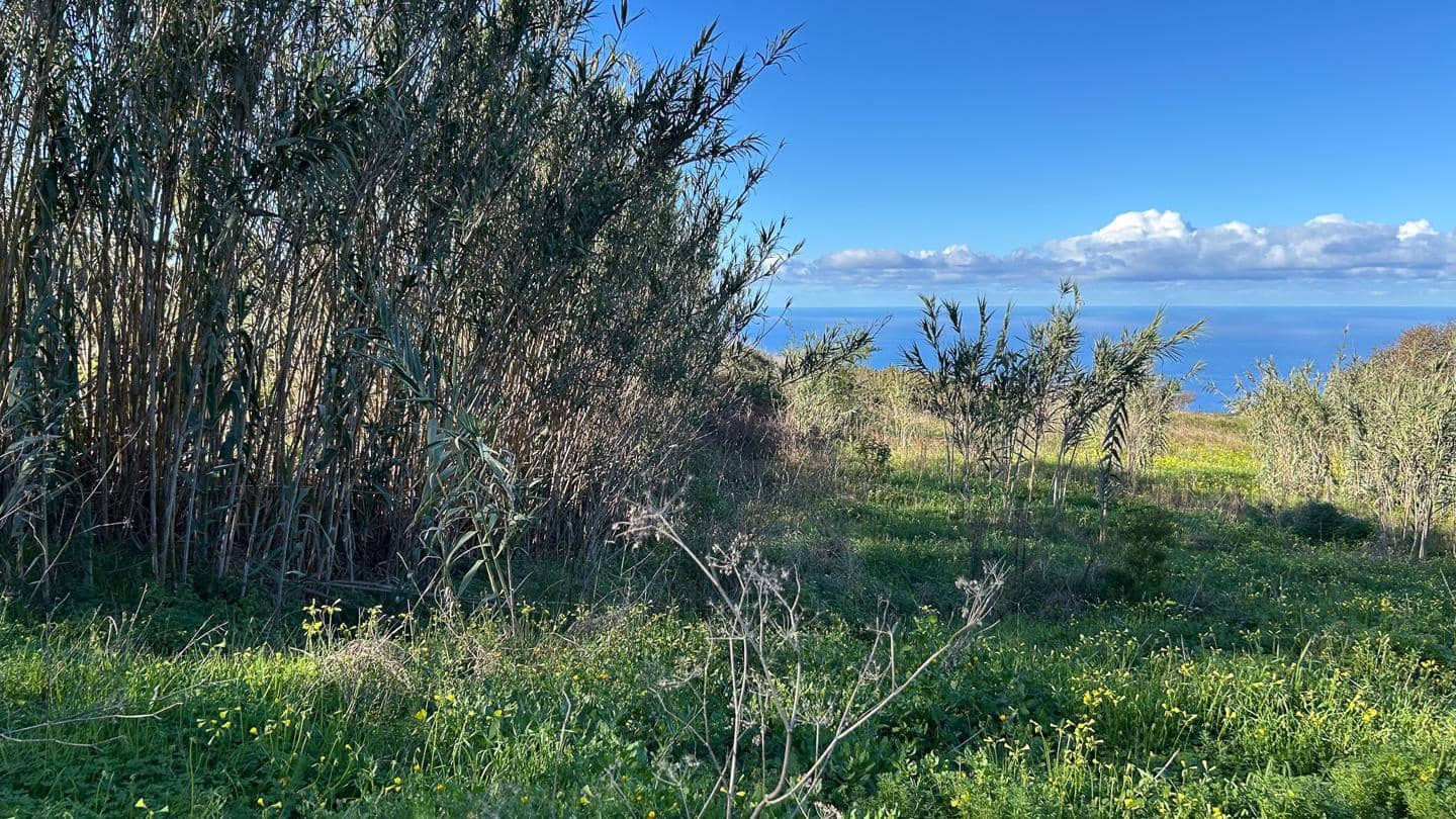 Grunde uden byggetilladelser til salg i El Sauzal - € 250.000 (Ref: 8800486)