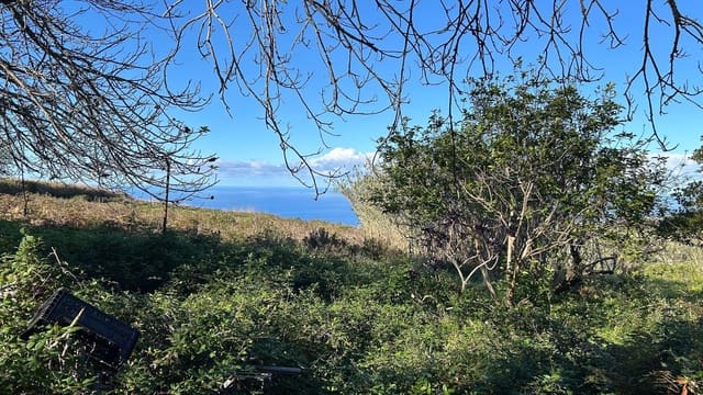 Undeveloped Land for sale in El Sauzal - € 250,000 (Ref: 8800486)