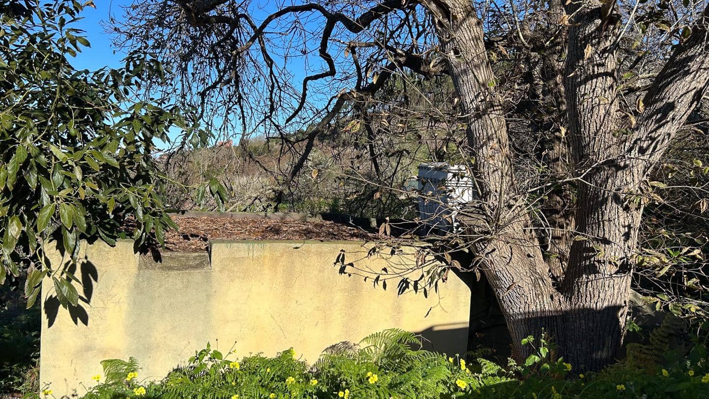 Grunde uden byggetilladelser til salg i El Sauzal - € 250.000 (Ref: 8800486)