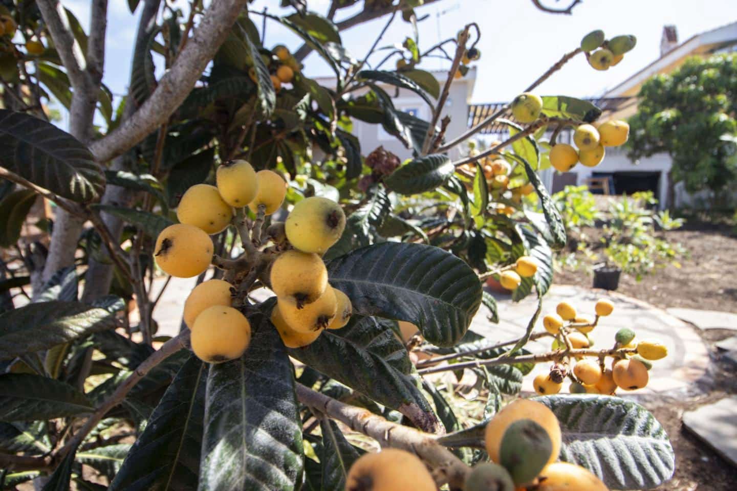 3 camera da letto Villa da affittare in Tacoronte - 2.500 € (Rif: 8940821)