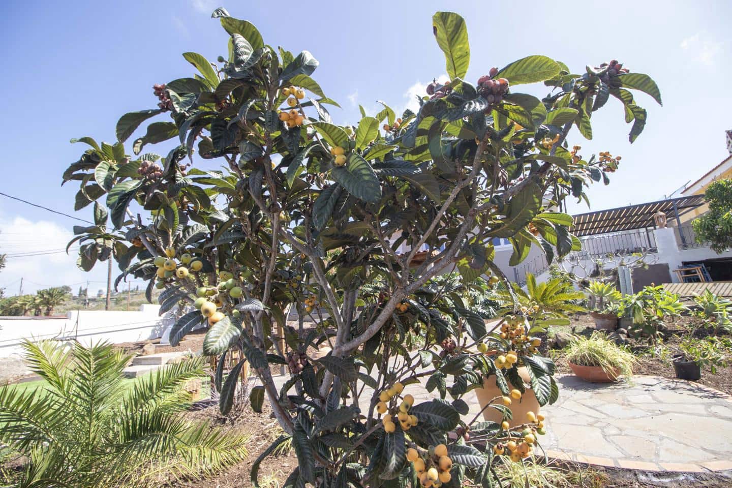 3 camera da letto Villa da affittare in Tacoronte - 2.500 € (Rif: 8940821)