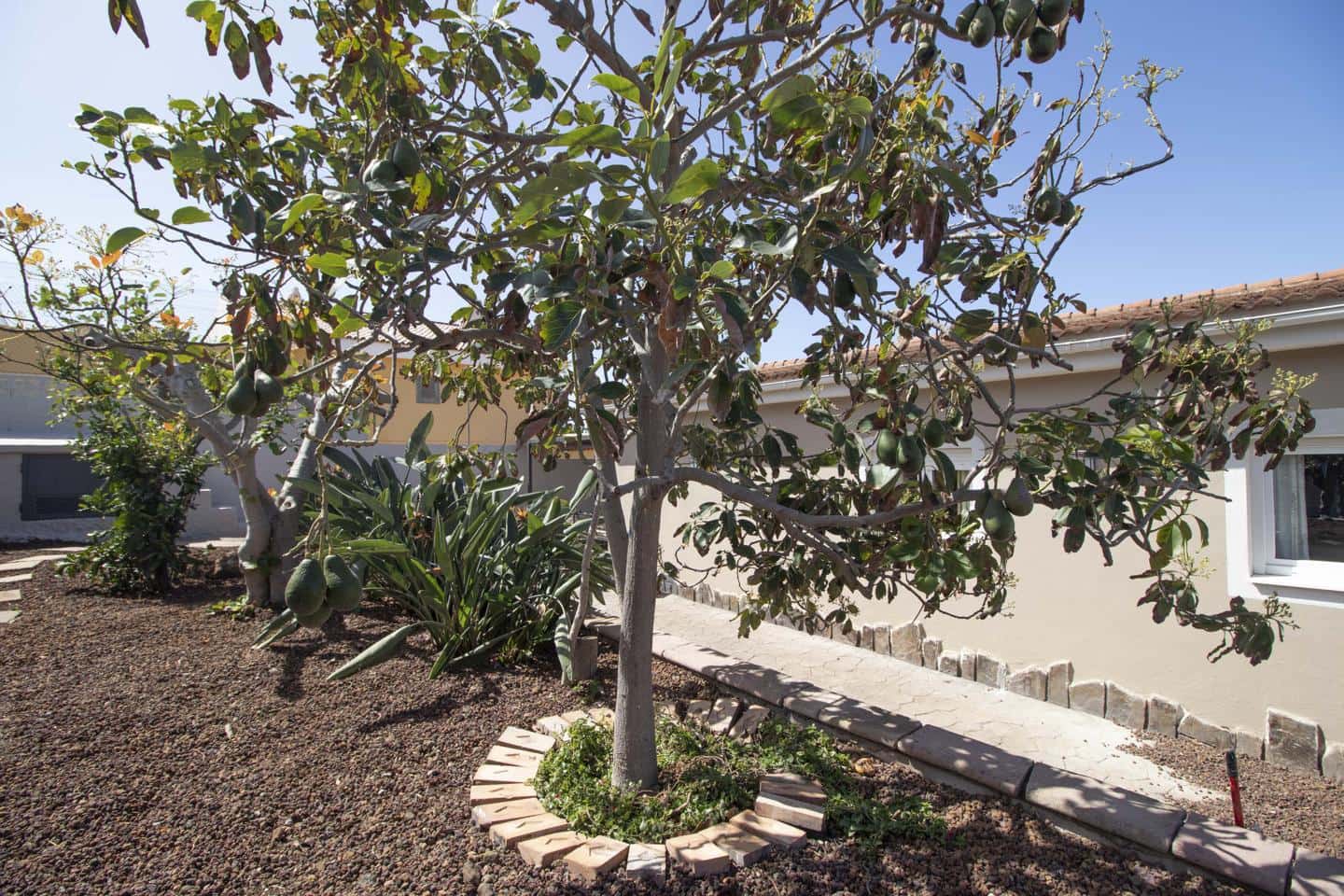 3 camera da letto Villa da affittare in Tacoronte - 2.500 € (Rif: 8940821)