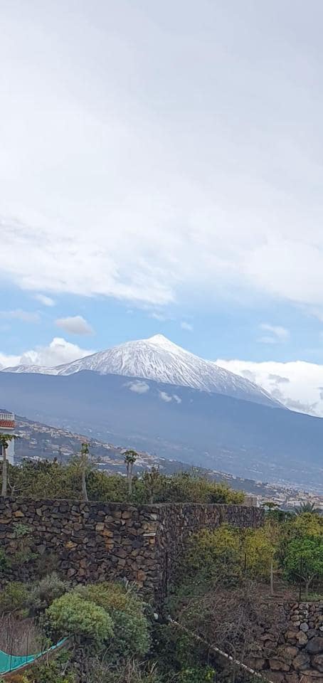 1 soveværelse Virksomhed til salg i La Matanza de Acentejo - € 147.000 (Ref: 8945041)