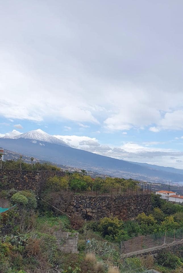 1 soveværelse Virksomhed til salg i La Matanza de Acentejo - € 147.000 (Ref: 8945041)