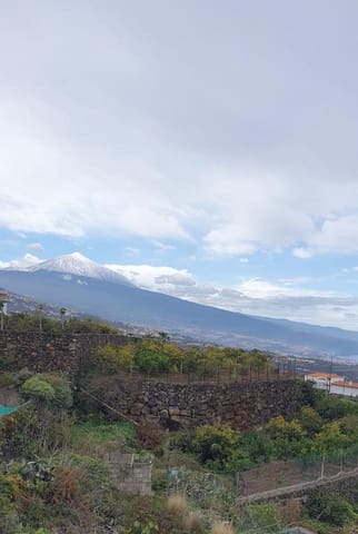 1 soverom Bedrift til salgs i La Matanza de Acentejo - € 147 000 (Ref: 8945041)