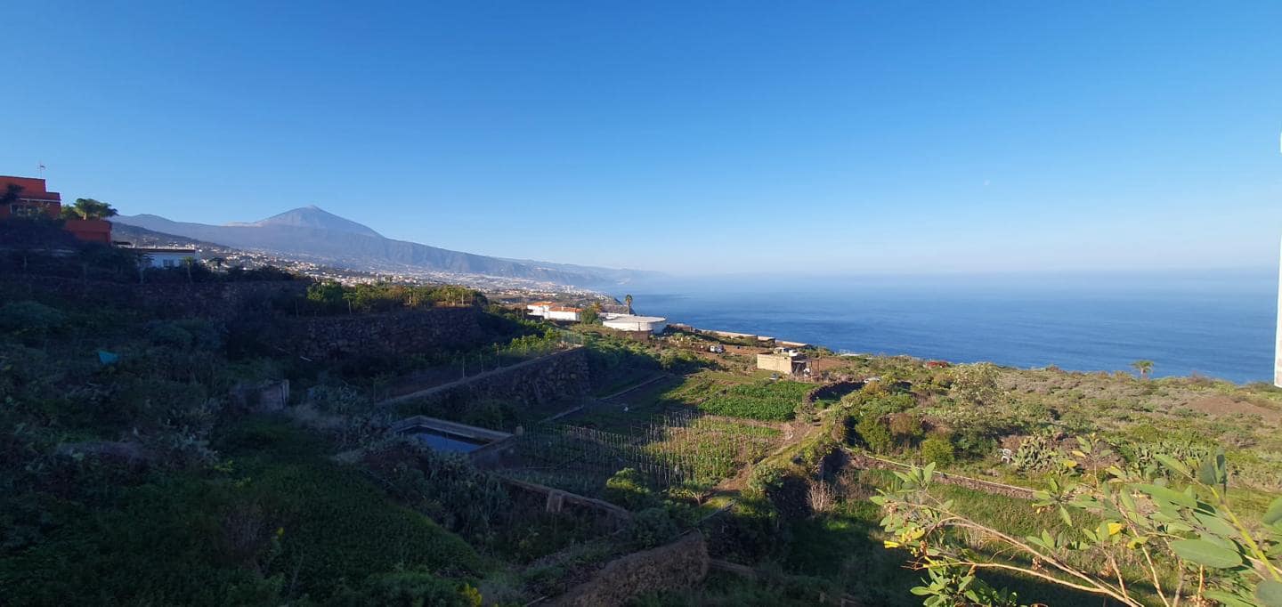 1 soveværelse Virksomhed til salg i La Matanza de Acentejo - € 147.000 (Ref: 8945041)