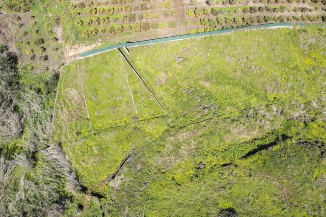 Undeveloped Land for sale in San Antonio, Santa Cruz de Tenerife - € 39,999 (Ref: 8952321)