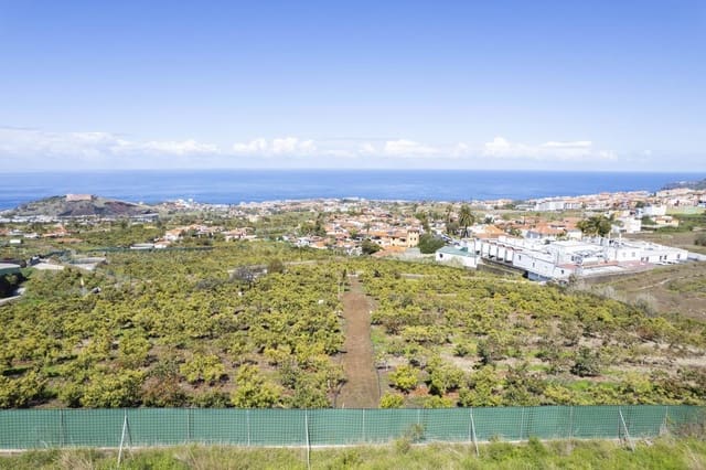 Undeveloped Land for sale in San Antonio, Santa Cruz de Tenerife - € 39,999 (Ref: 8952322)