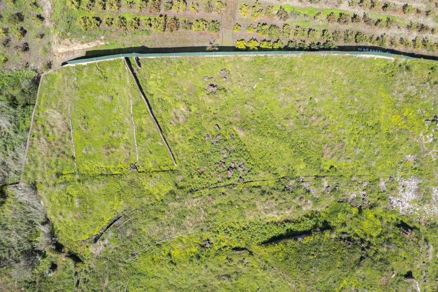 Grunde uden byggetilladelser til salg i Santa Cruz de Tenerife - € 39.999 (Ref: 8952322)