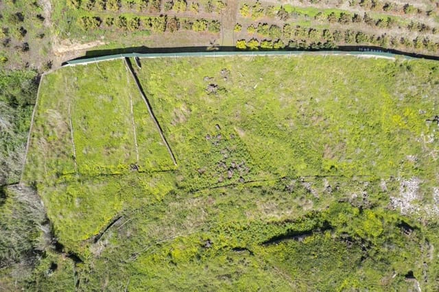 Undeveloped Land for sale in San Antonio, Santa Cruz de Tenerife - € 39,999 (Ref: 8952322)