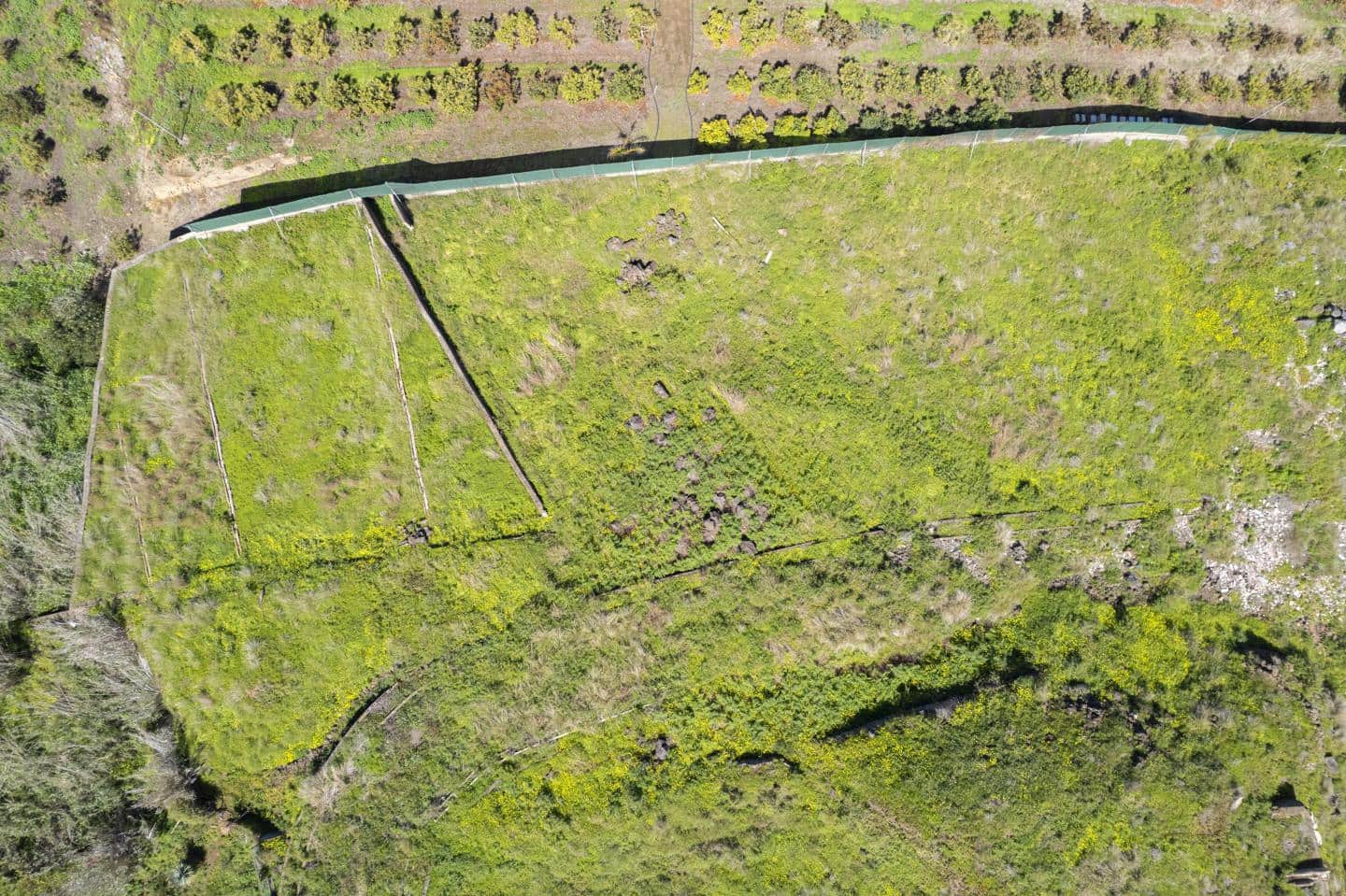 Terreno Non Edificato in vendita in Santa Cruz de Tenerife - 39.999 € (Rif: 8952323)