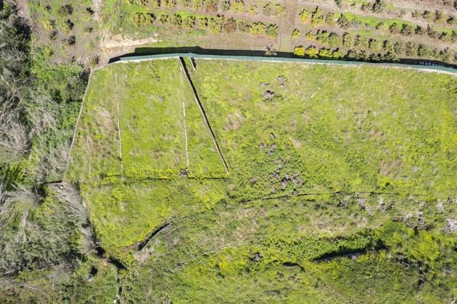 Undeveloped Land for sale in San Antonio, Santa Cruz de Tenerife - € 39,999 (Ref: 8952323)