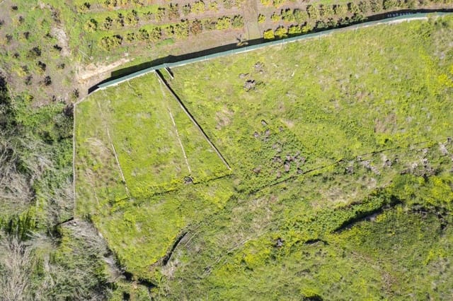 Undeveloped Land for sale in San Antonio, Santa Cruz de Tenerife - € 39,999 (Ref: 8952323)