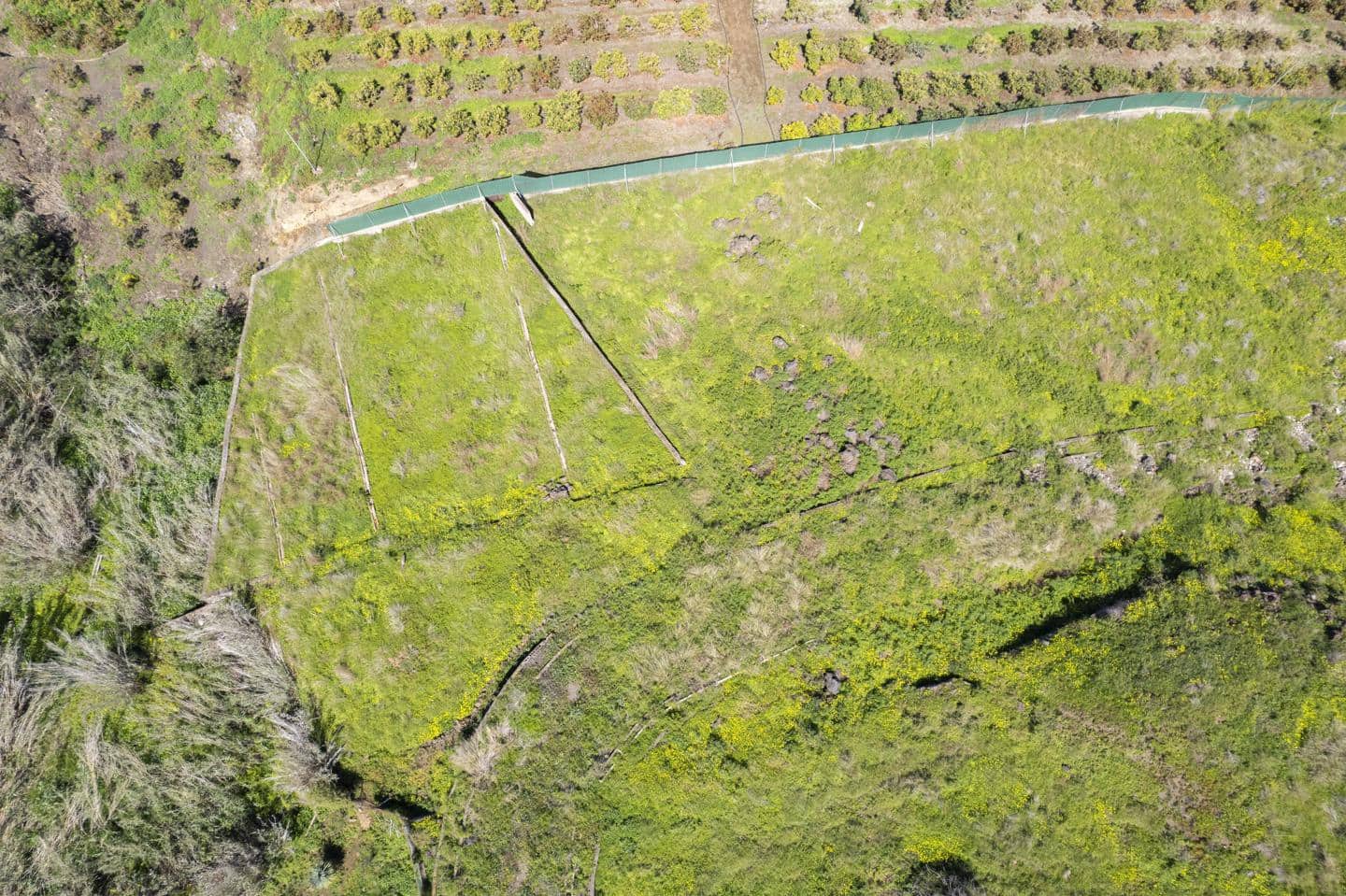 Ubebygd land til salgs i Santa Cruz de Tenerife - € 39 999 (Ref: 8952324)