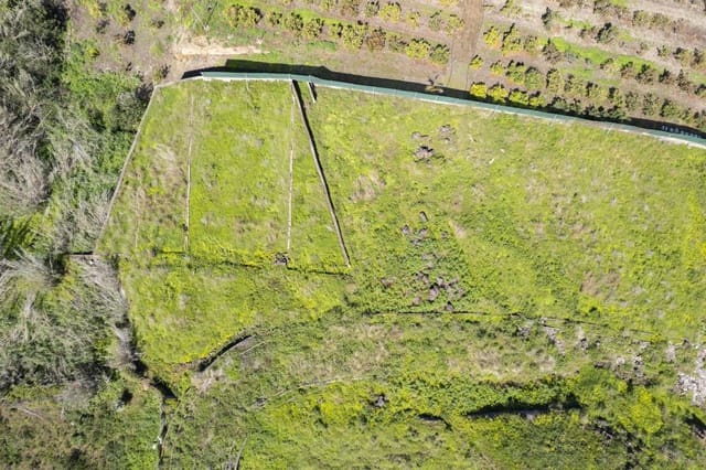 Undeveloped Land for sale in San Antonio, Santa Cruz de Tenerife - € 39,999 (Ref: 8952324)