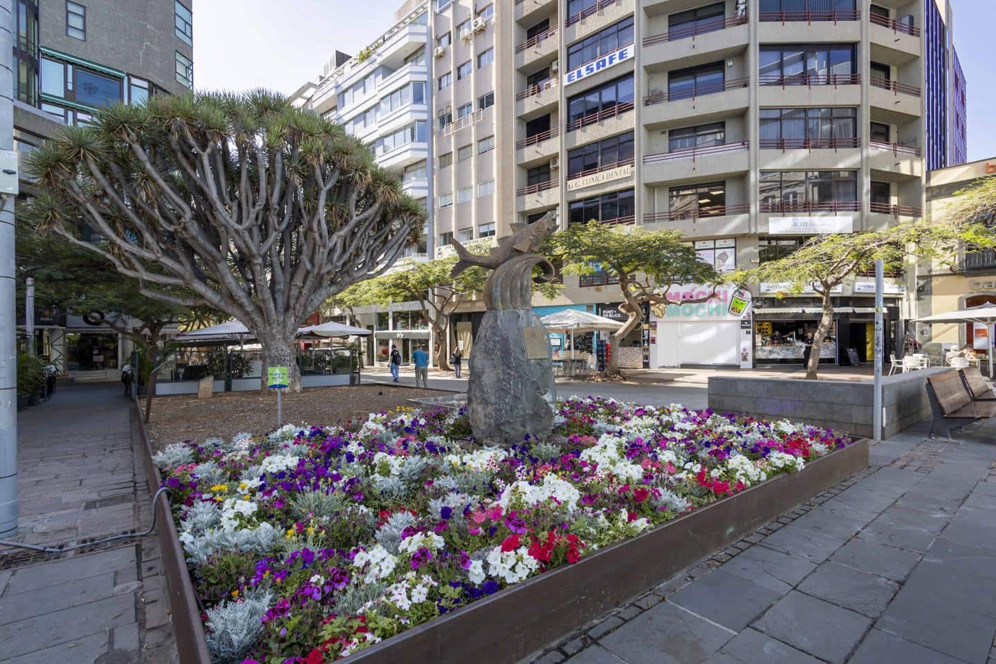 1 soverom Bedrift til salgs i Santa Cruz de Tenerife - € 79 369 (Ref: 9025701)