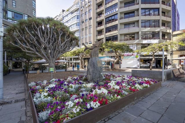 1 soverom Bedrift til salgs i Zona Centro, Santa Cruz de Tenerife - € 79 369 (Ref: 9025701)