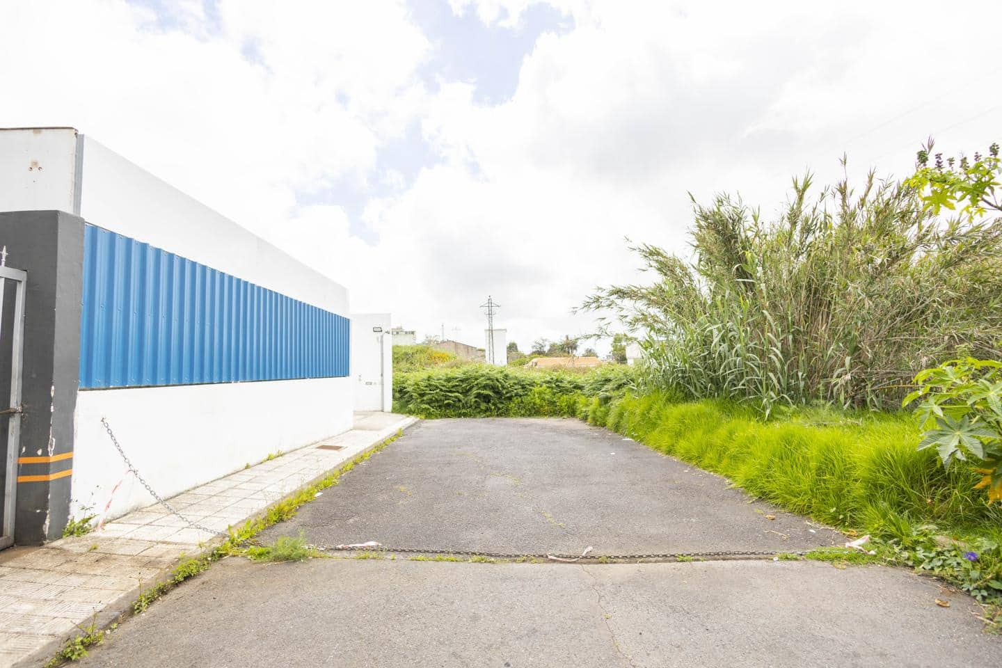 Mark till salu i Tacoronte - 249 000 € (Ref: 9041371)