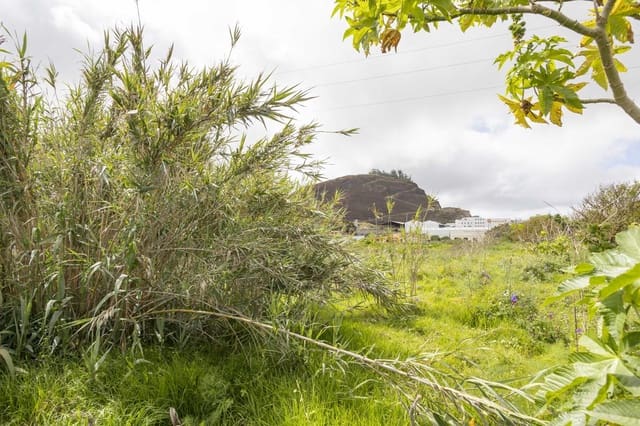 Mark till salu i Tacoronte - 249 000 € (Ref: 9041371)