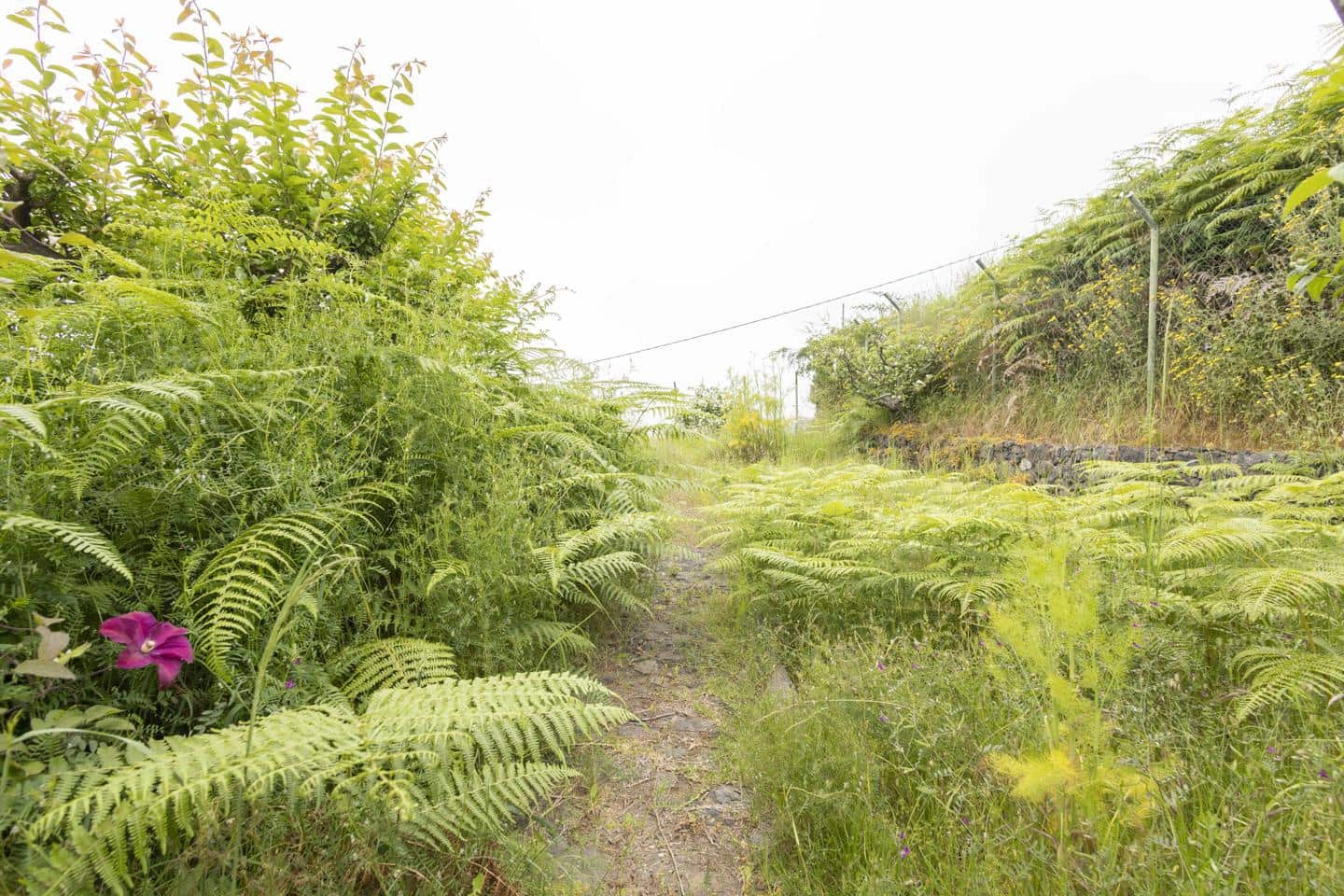 4 soveværelse Villa til salg i Los Realejos - € 420.000 (Ref: 9076818)