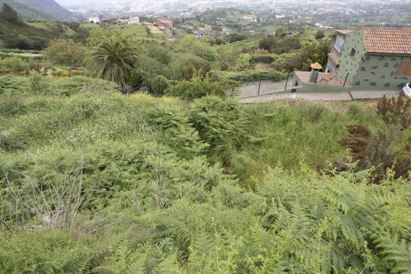 4 soveværelse Villa til salg i Los Realejos - € 420.000 (Ref: 9076818)