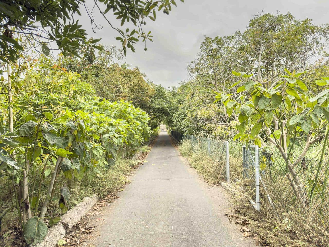 3 soveværelse Villa til salg i Los Realejos - € 885.000 (Ref: 9084397)