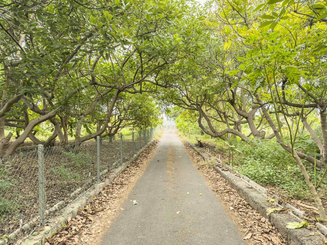 3 soveværelse Villa til salg i Los Realejos - € 885.000 (Ref: 9084397)