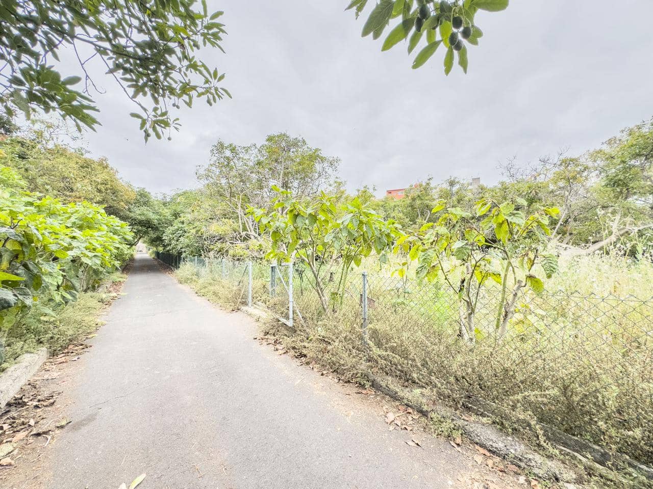 3 soveværelse Villa til salg i Los Realejos - € 885.000 (Ref: 9084397)