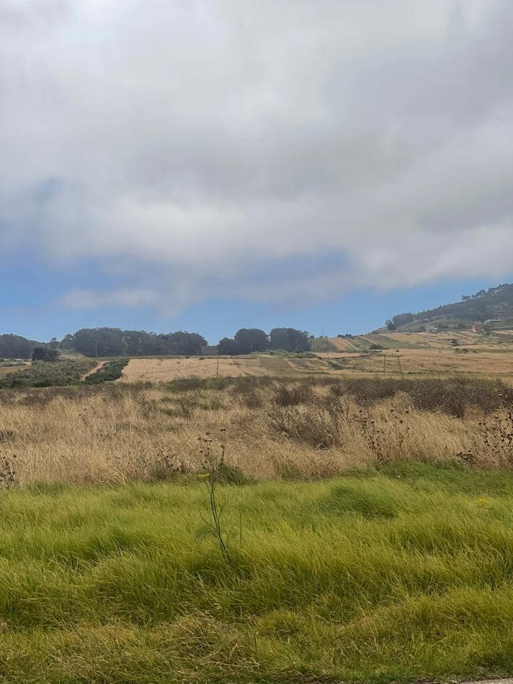 Ubebygd land til salgs i San Cristobal de La Laguna - € 29 900 (Ref: 9103794)